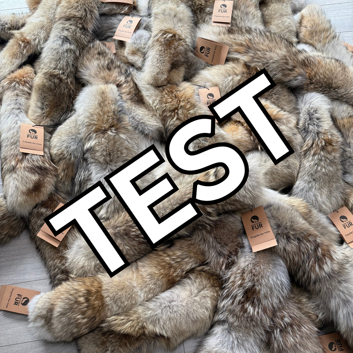 TEST